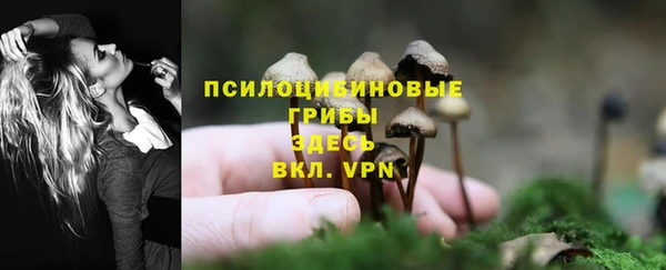 трава Абинск