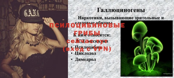 трава Абинск