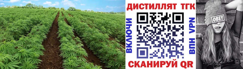 ТГК концентрат  Усмань 